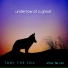 Toby The Fox, Steve The Cat