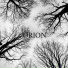 Orion