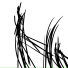 Fchorus