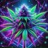 Greenliner420