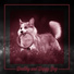 Calm Pets Music Academy