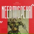 Neer Mic Pe
