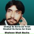 Shahenshah Bacha