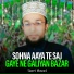 Qari Asad
