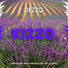 Kizzo