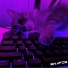 Folzy.fx