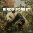 Panda Nature, Panda Ambience, Panda Music