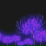 Rooky030