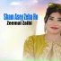 Zeemal Zaibi