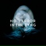 No Terror in the Bang