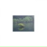 Mindfulness Healing BGM Project