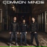Common Minds