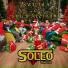 SoLeo