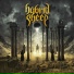 07 - Hybrid Sheep (2017 - "Hail To The Beast")