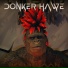 Donker Hawe
