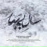 Mohsen Chavoshi