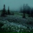 VXCTØR