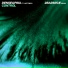 Dense & Pika feat. Leftfield