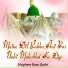 Mughees Raza Qadri