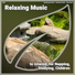 Relaxing Spa Music, Relaxation Music, Slow Music