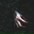 LVMPOVYY, WitchZone