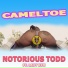 Notorious Todd feat. Lady Kym