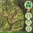 癒し音マスター