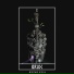 BRUX