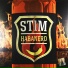 ST1M