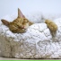 Piano para Dormir, Meditar Profundamente, Relajar