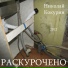 Николай Кокурин