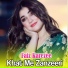 Faiz Karezee
