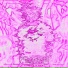 PHAZZE