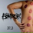 the Bonersex
