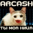 Arcash