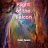 Flight of the Falcon