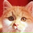 TihoN9