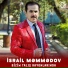Israil M
