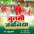 Guddu Lahari
