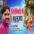 Gunjan Singh, Antra Singh Priyanka