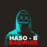 Haso B