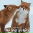 The Bri Bones