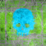 volfman