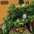 Flavio
