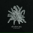 Ekstercies