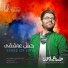 Hamed Homayoun