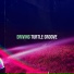 Turtle Groove