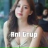 ANL Grup