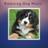 Music-to-Relax-Dogs