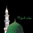 Qari Rizwan Ullah